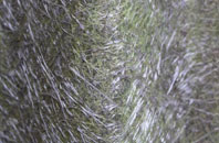 Corlannau fibreglass roof work